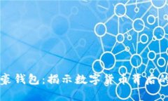 比特币富豪钱包：揭示数