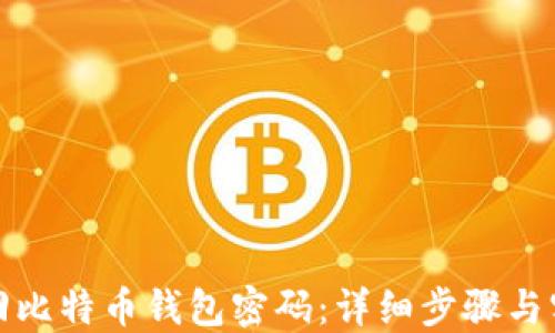 
如何找回比特币钱包密码：详细步骤与实用技巧
