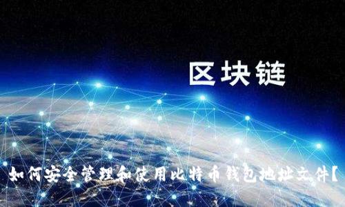 如何安全管理和使用比特币钱包地址文件？