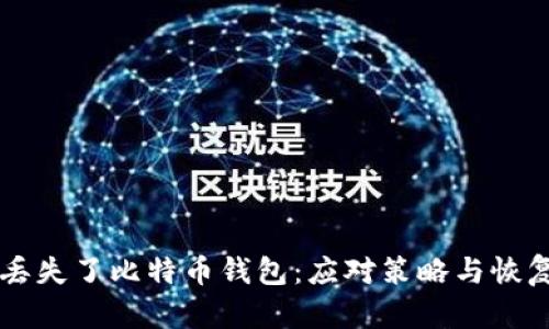 当你丢失了比特币钱包：应对策略与恢复方法