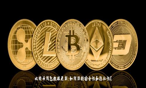 比特币钱包数据更新：如何保持安全性和隐私性？
