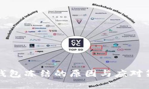 比特币钱包冻结的原因与应对策略详解