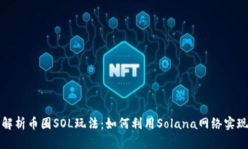 深入解析币圈SOL玩法：如何利用Solana网络实现盈利