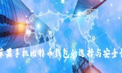 国内苹果手机比特币钱包