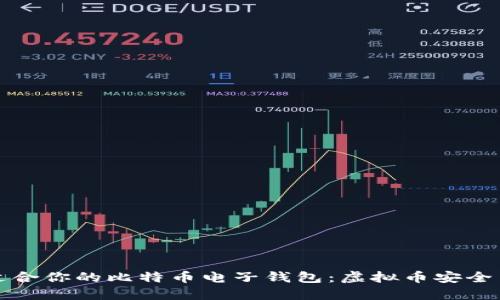 如何选择适合你的比特币电子钱包：虚拟币安全与管理指南