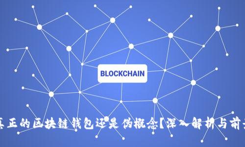 ICC：真正的区块链钱包还是伪概念？深入解析与前景展望