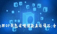 如何处理OP钱包省呗借款未