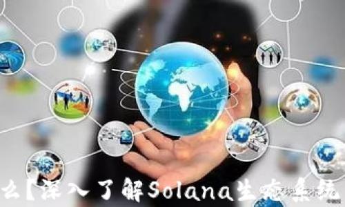 
SOL币是什么？深入了解Solana生态系统与市场前景