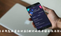 存比特币钱包是否会被盗？探讨比特币安全性与