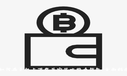 如何在手机上下载并安装比特币钱包：全面指南