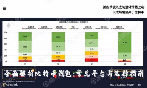 全面解析比特币钱包：常见平台与选择指南