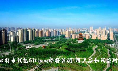 比特币钱包Bitlum即将关闭：用户应如何应对？