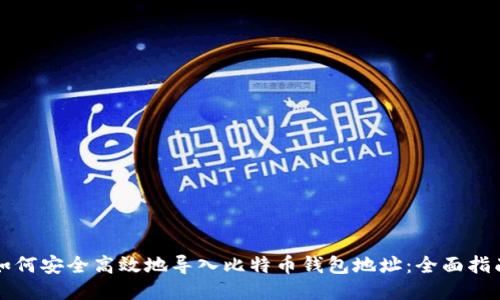 如何安全高效地导入比特币钱包地址：全面指南