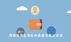 狗狗币钱包消失的原因与