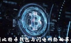 全面解析比特币钱包与闪