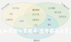 比特币钱包如何转入莱特币：完整指南与常见问
