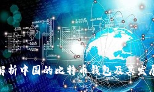 全面解析中国的比特币钱包及其发展趋势