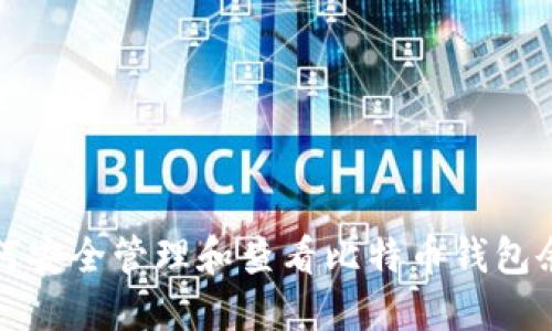 如何安全管理和查看比特币钱包余额