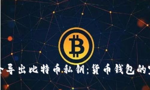 如何安全导出比特币私钥：货币钱包的完整指南
