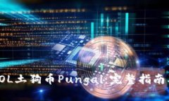 如何购买SOL土狗币Pungai：