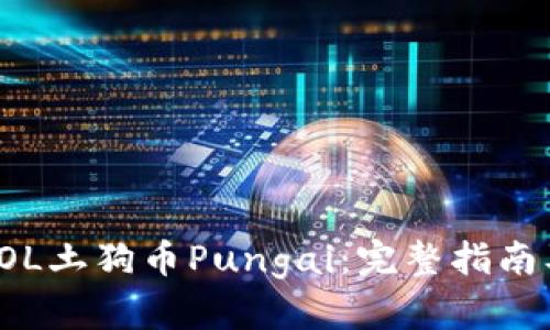 如何购买SOL土狗币Pungai：完整指南及实用技巧