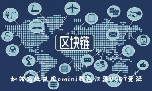 如何高效使用omini钱包归集USDT资源