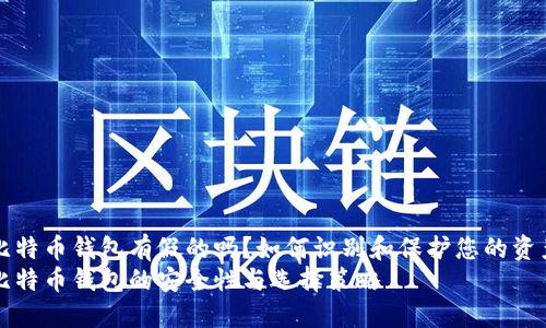 比特币钱包有假的吗？如何识别和保护您的资产
比特币钱包的安全性与选择策略