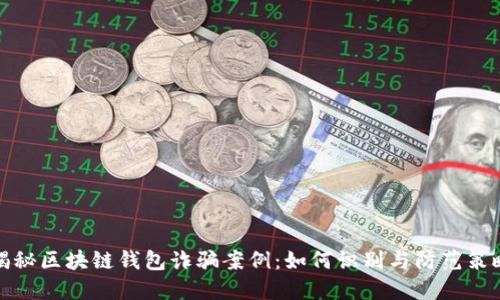 揭秘区块链钱包诈骗案例：如何识别与防范策略