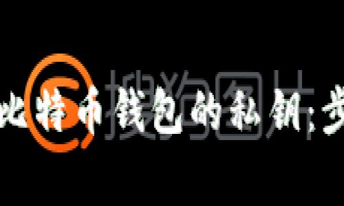 如何安全导入比特币钱包的私钥:步骤与注意事项