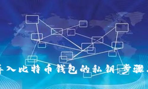 如何安全导入比特币钱包的私钥:步骤与注意事项