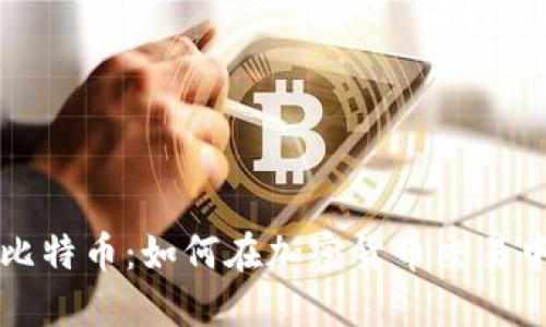瑞波钱包与比特币：如何在加密货币交易中最大化收益