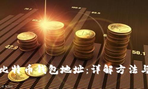 如何查询比特币钱包地址：详解方法与注意事项