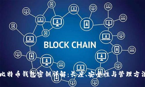 比特币钱包密钥详解：长度、安全性与管理方法