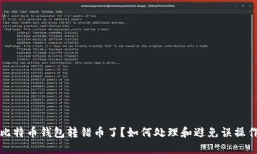 比特币钱包转错币了?如何处理和避免误操作