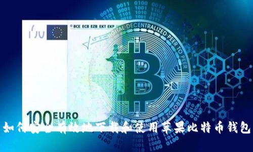 如何安全有效地下载和使用苹果比特币钱包
