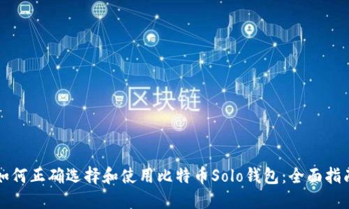 如何正确选择和使用比特币Solo钱包：全面指南