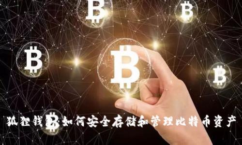狐狸钱包：如何安全存储和管理比特币资产