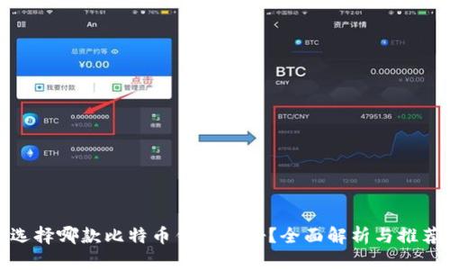 选择哪款比特币钱包更好？全面解析与推荐
