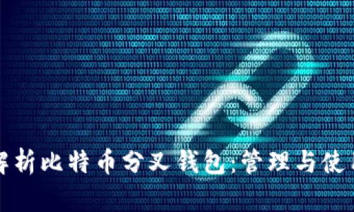 全面解析比特币分叉钱包：管理与使用指南