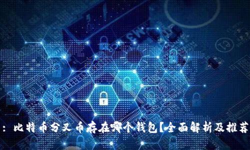 : 比特币分叉币存在哪个钱包？全面解析及推荐