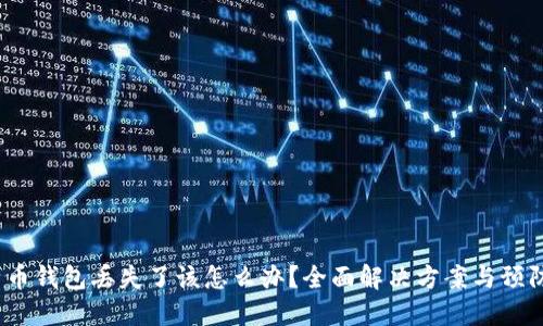  比特币钱包丢失了该怎么办？全面解决方案与预防措施