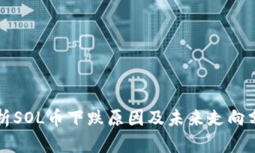 解析SOL币下跌原因及未来走向分析