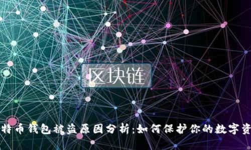 比特币钱包被盗原因分析：如何保护你的数字资产