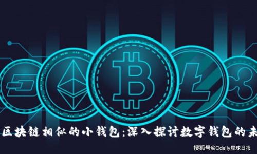 与区块链相似的小钱包：深入探讨数字钱包的未来