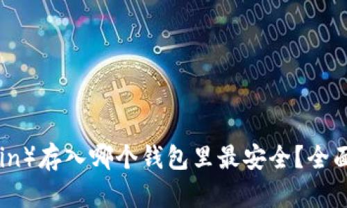 屎币（Shitcoin）存入哪个钱包里最安全？全面指南与建议