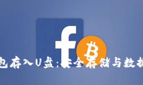 如何将比特币钱包存入U盘：安全存储与数据保护的全面指南