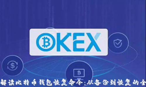 
全面解读比特币钱包恢复命令：从备份到恢复的全流程
