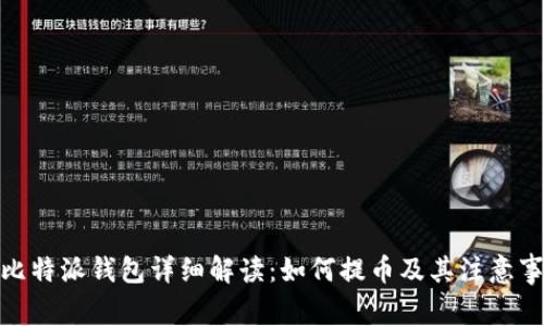: 比特派钱包详细解读：如何提币及其注意事项
