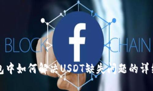 TP钱包中如何解决USDT缺失问题的详细指南