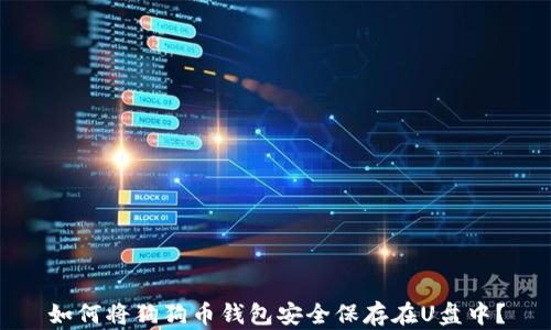
如何将狗狗币钱包安全保存在U盘中？